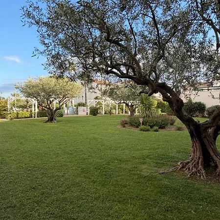 Terrasses Du Vue Piscine Clim Parking Terrasse 公寓 *