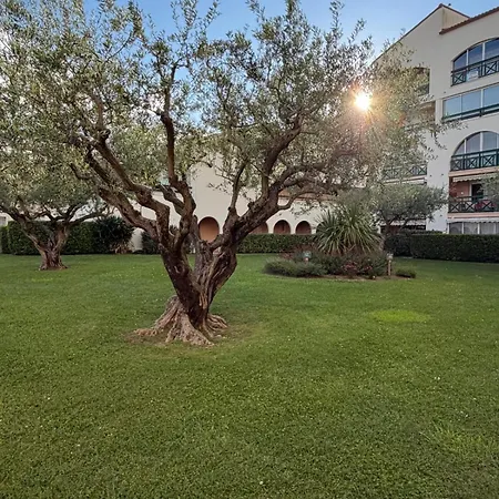 Terrasses Du Vue Piscine Clim Parking Terrasse 公寓 勒格罗-迪鲁瓦